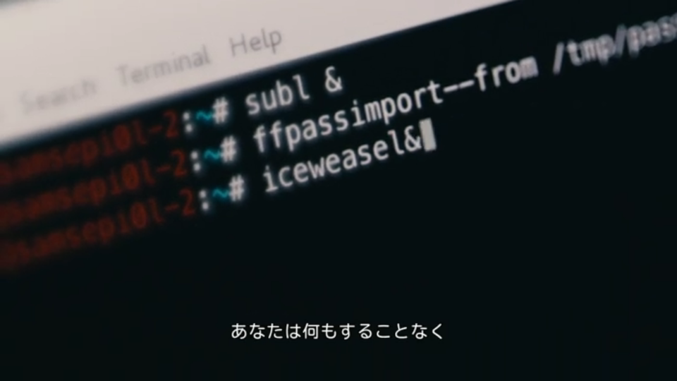 iceweasel command in a terminal